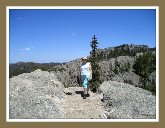 Rose on mountaintop in black hills SD